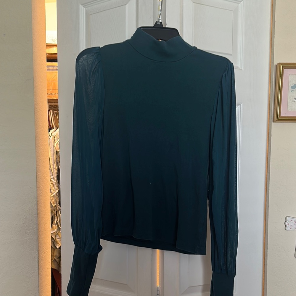 Elegant Teal mesh Long Sleeve Women's Top